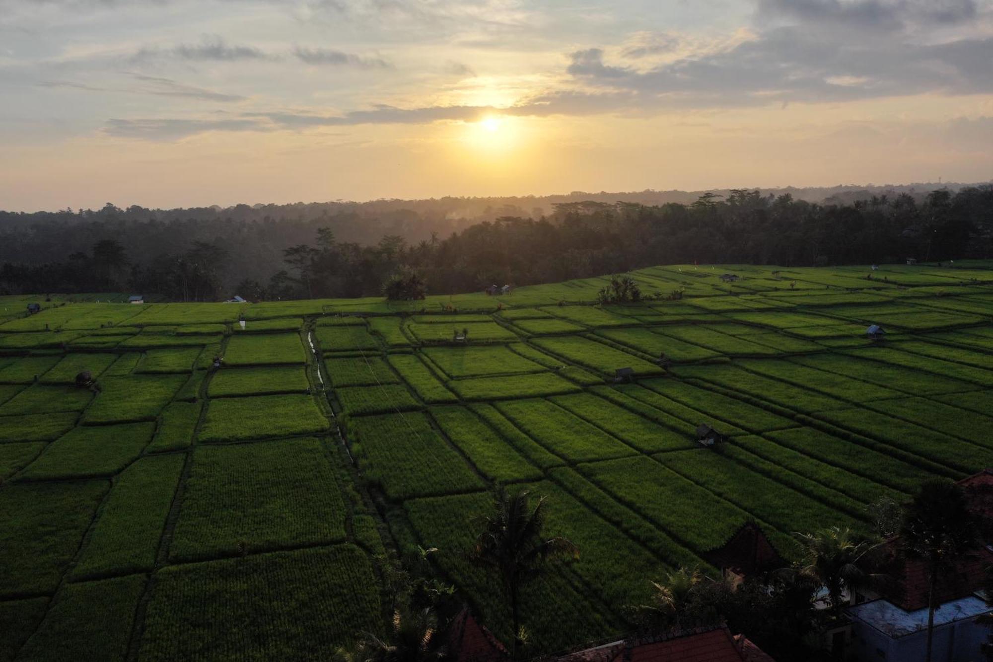 Umah Sunset Villa Ubud  Exterior photo